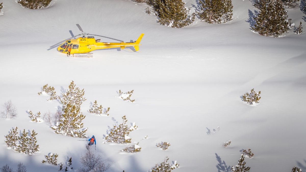 A bright yellow helicopter is stationed on a snow-covered landscape, surrounded by pine trees. A person dressed in winter gear stands in the snow, near the helicopter.