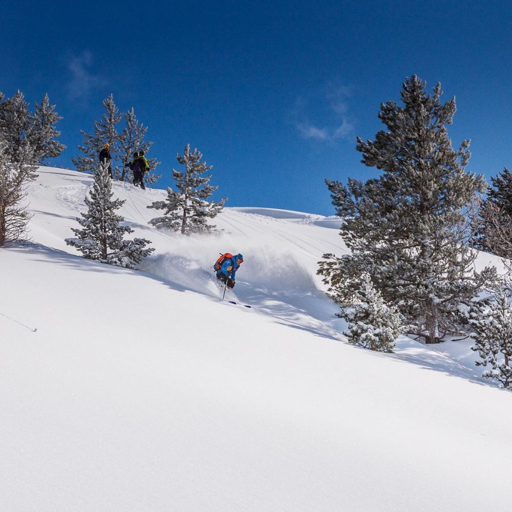A skier navigating fresh powder snow on a slope, with trees and a clear blue sky in the background. Two other individuals are visible in the distance, enjoying the snowy landscape.