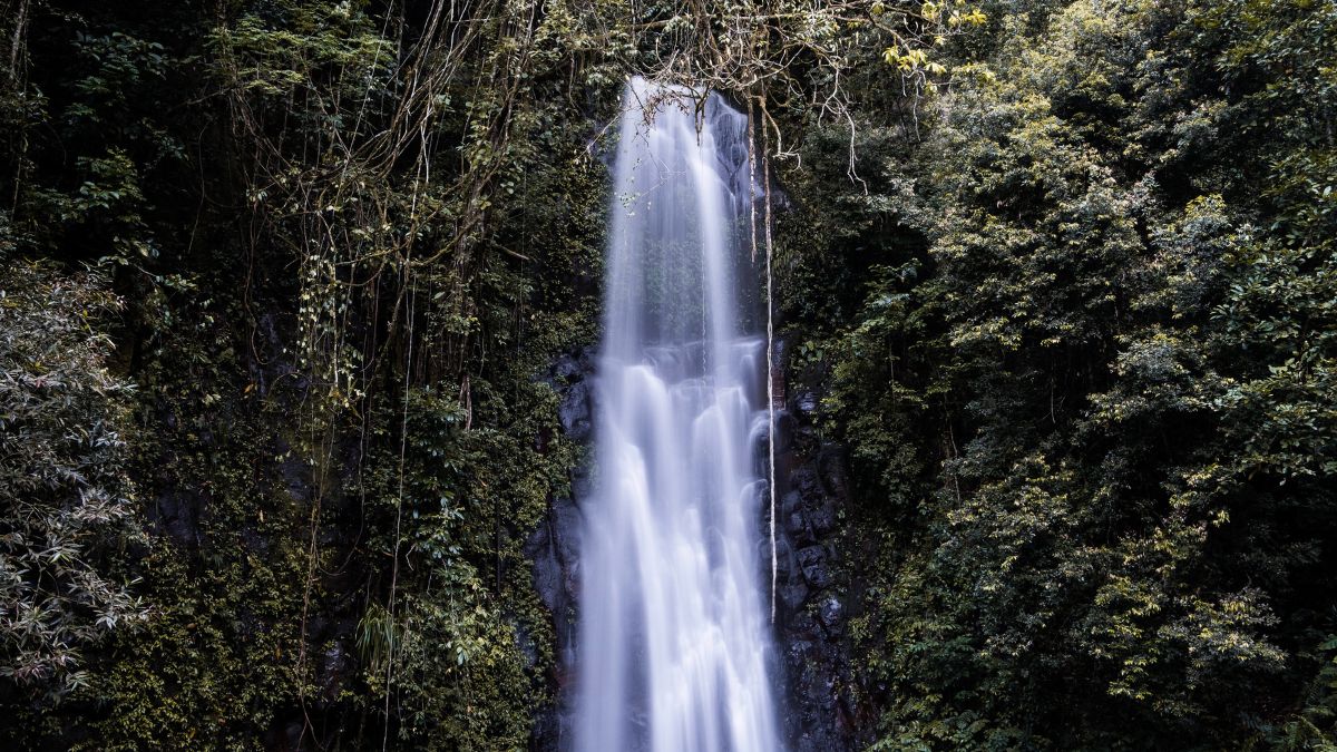 A majestic waterfall cascades down rocky cliffs, surrounded by lush green foliage and dense tropical vegetation. The water flows smoothly, creating a serene and peaceful atmosphere.