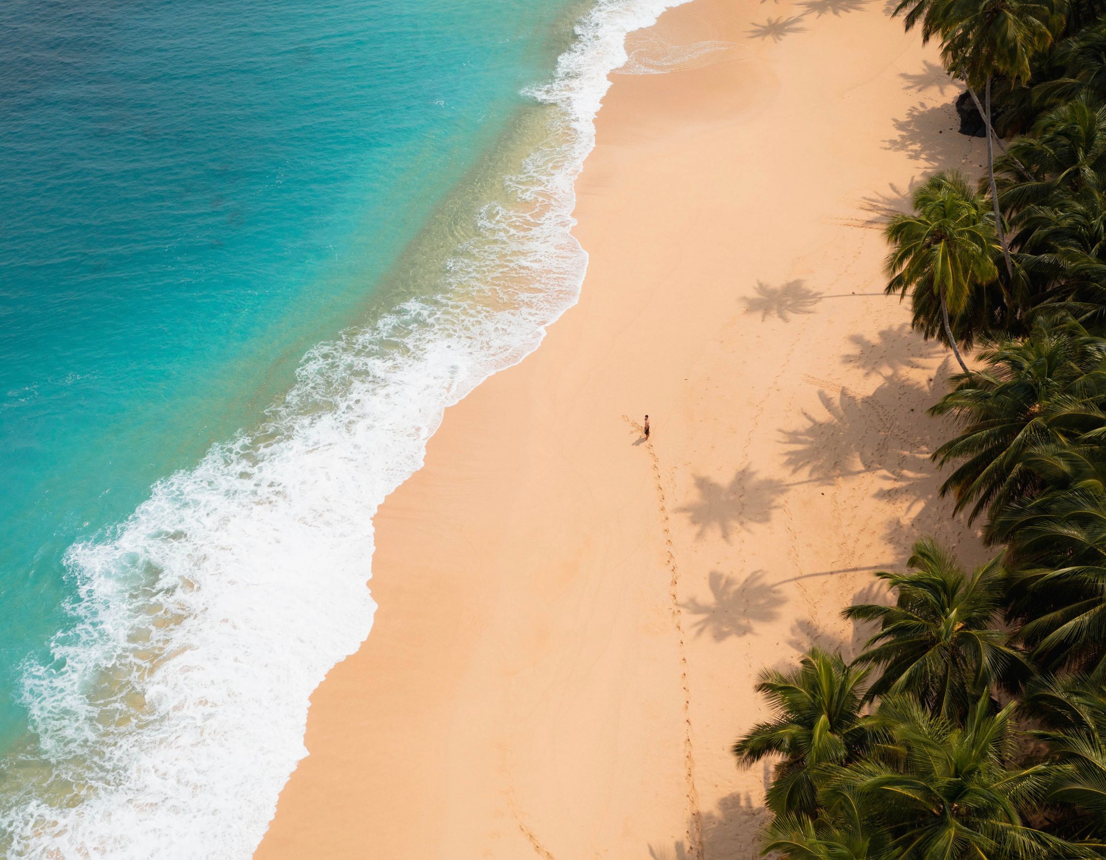 Aerial view of a pristine beach with golden sand and turquoise waters. Palm trees are scattered along the shoreline, casting shadows on the sand. A person can be seen walking along the beach, leaving footprints in the sand.