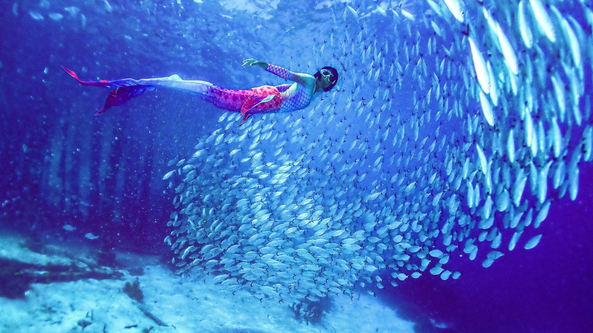 Guests taking the PADI Mermaid course to gain their qualification in Indonesia