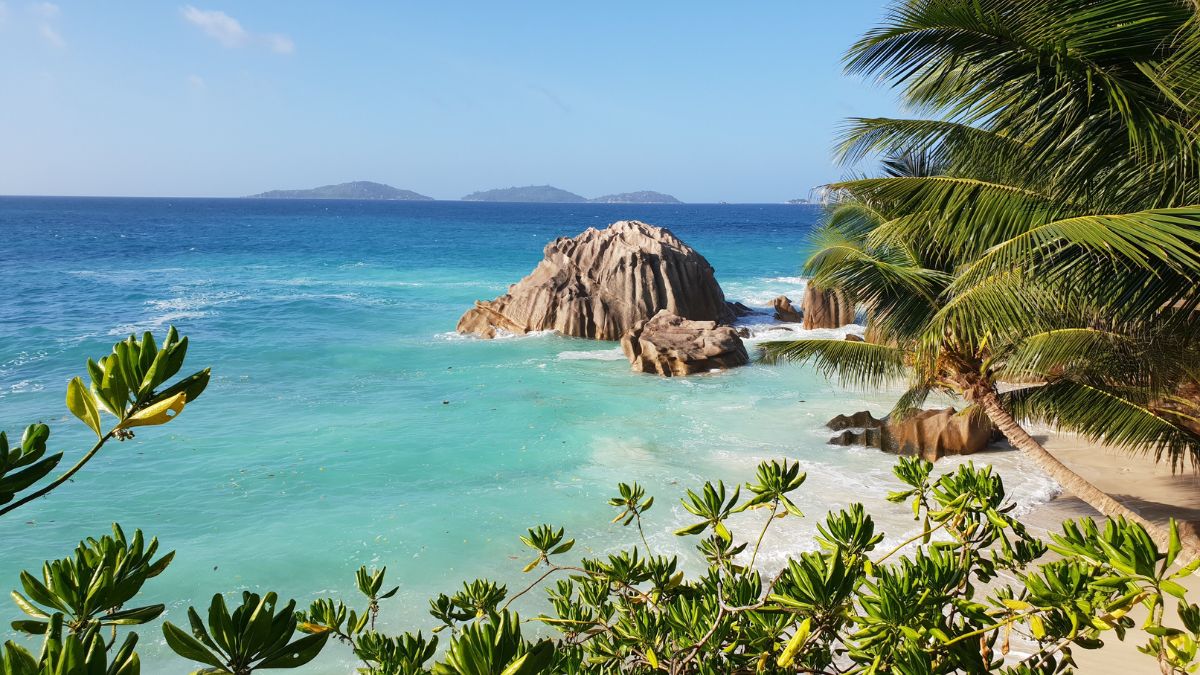 Tropical beach with turquoise water, large granite boulders, and green palm trees under a clear blue sky.