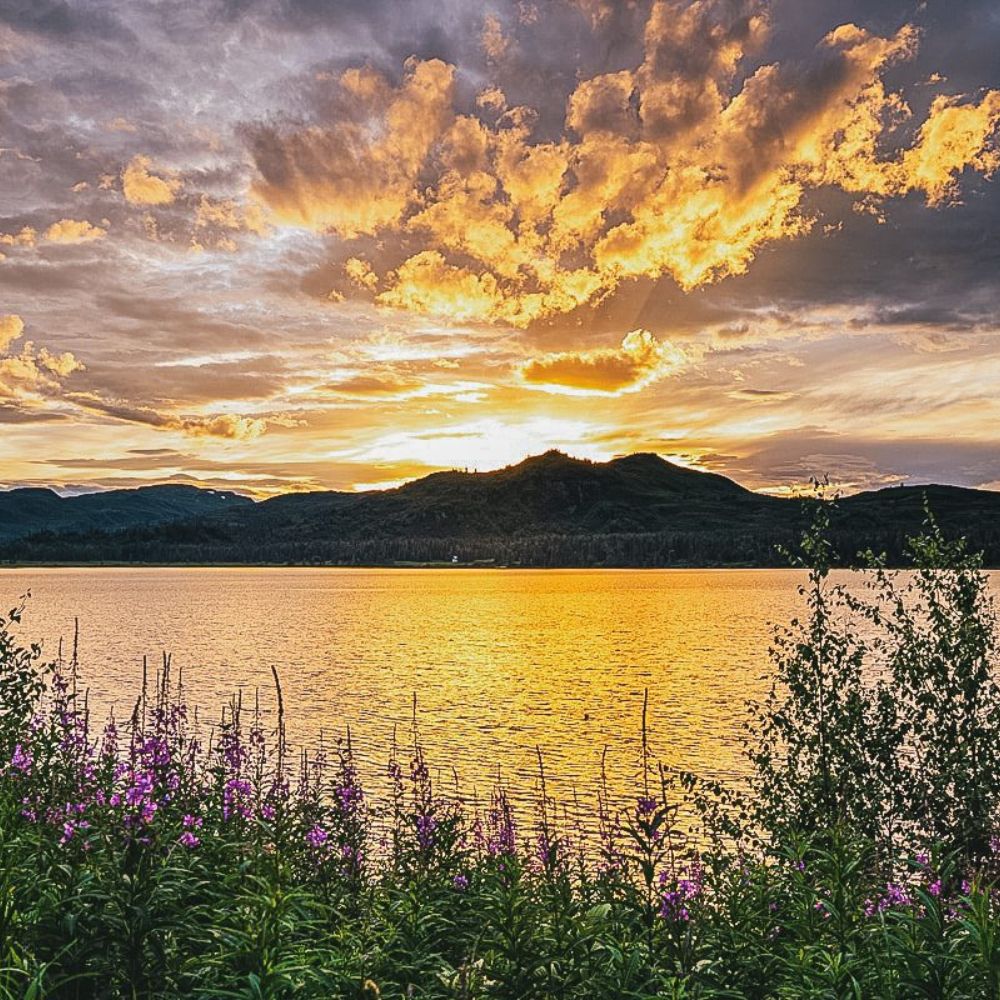 A stunning sunset over a serene lake, reflecting golden and orange hues in the water. Lush green foliage and purple wildflowers line the shore, while dramatic clouds fill the sky.