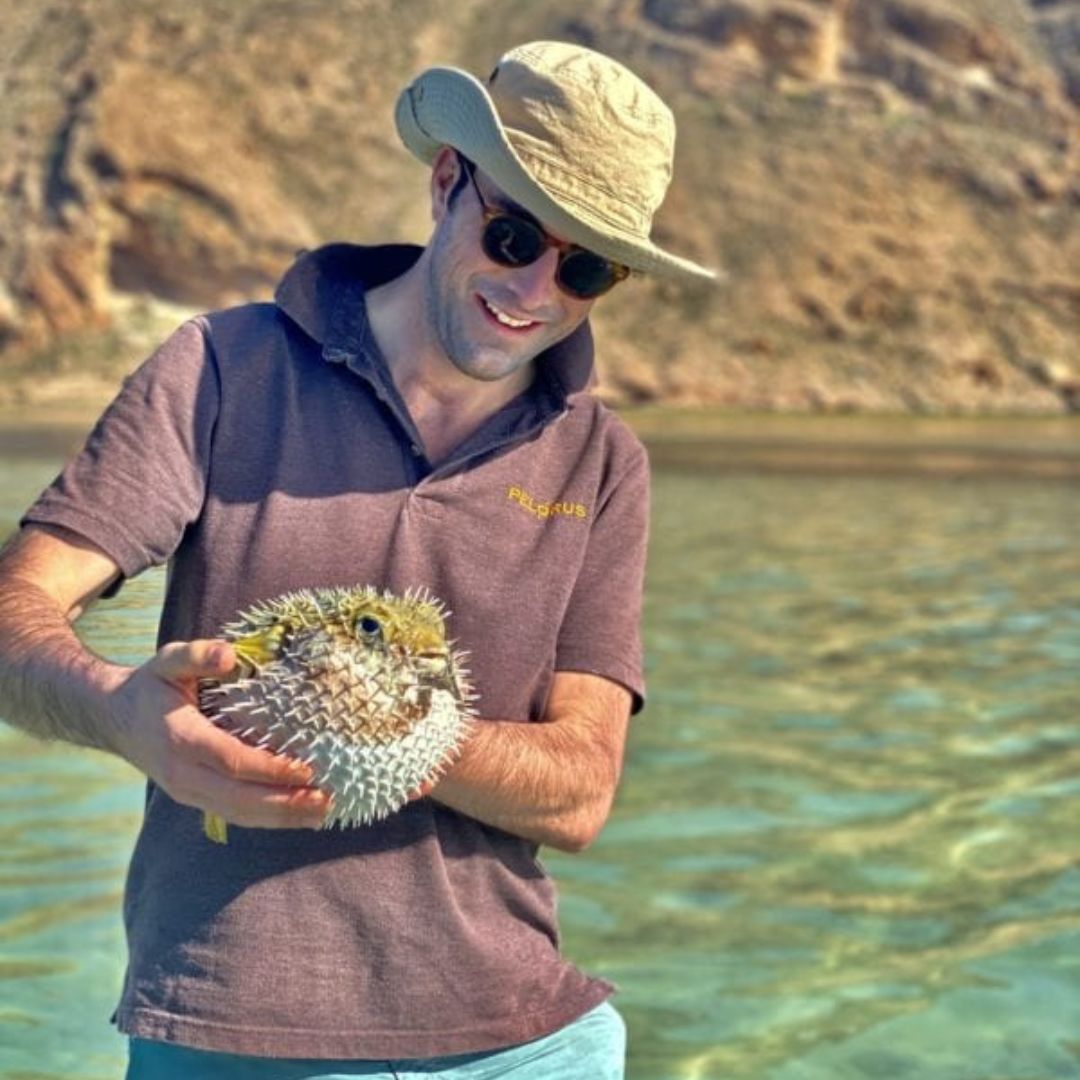 A man wearing a wide-brimmed hat and sunglasses holds a spiky pufferfish while standing in shallow water, with a rocky shoreline in the background.