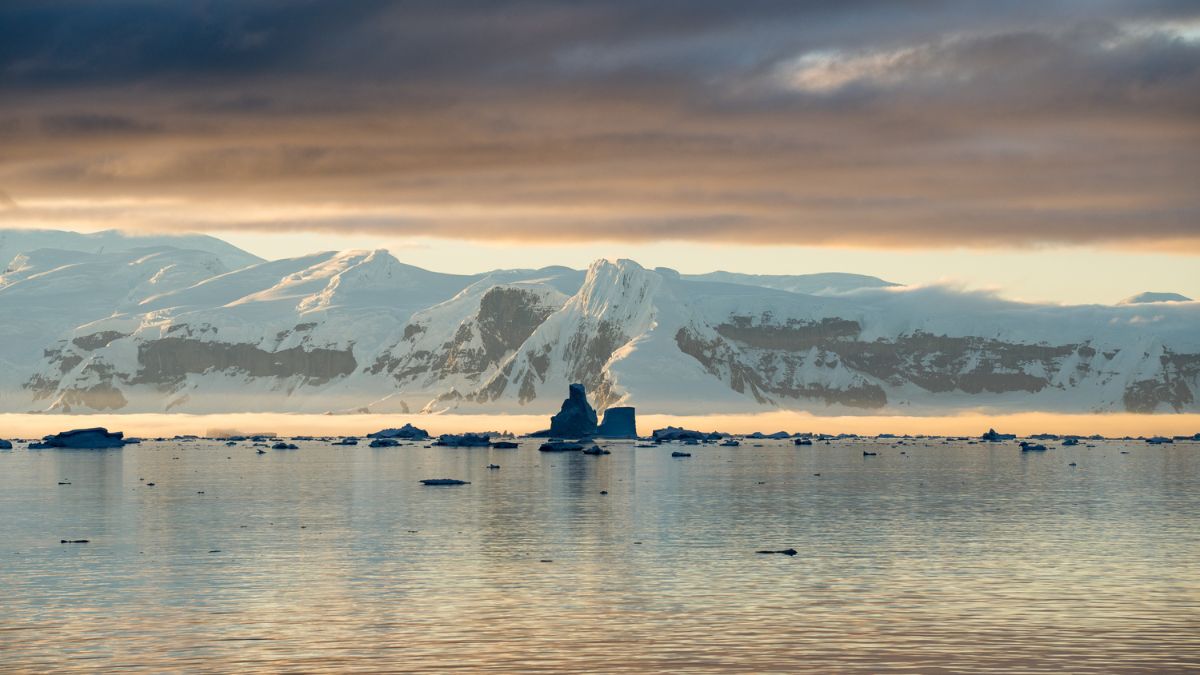 Wild Antarctica - Explore aboard a Yacht with Pelorus Yachting