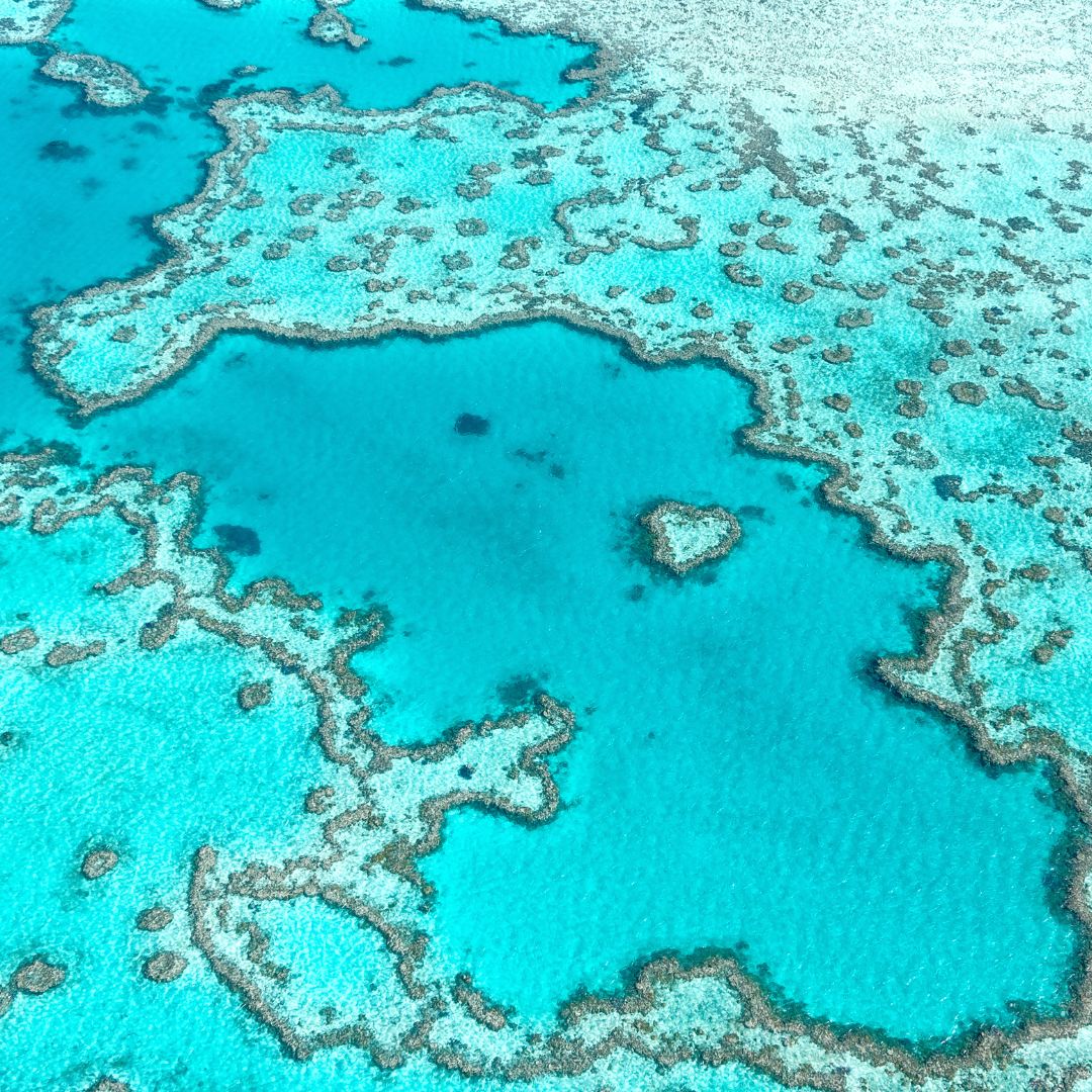 Aerial view of vibrant turquoise waters surrounding coral formations, showcasing intricate patterns and textures in the Great Barrier Reef.
