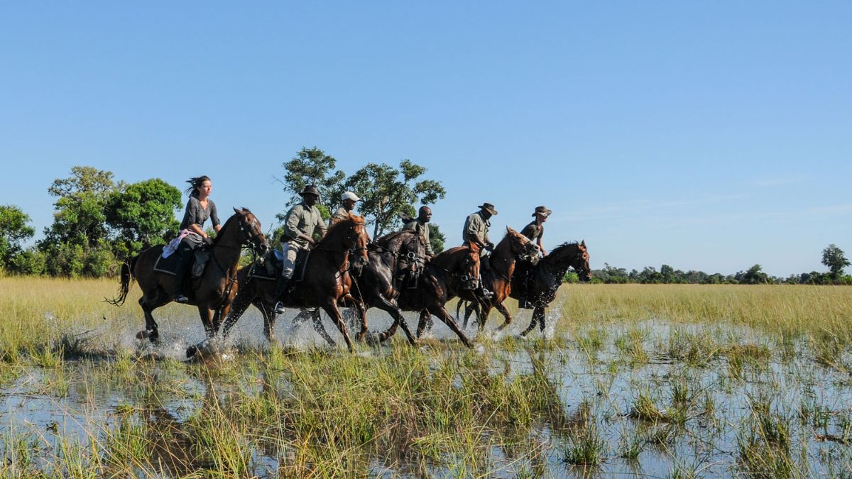 A group of six horseback riders galloping through a wetland area, splashing water as they navigate through tall grass and vegetation under a clear blue sky.