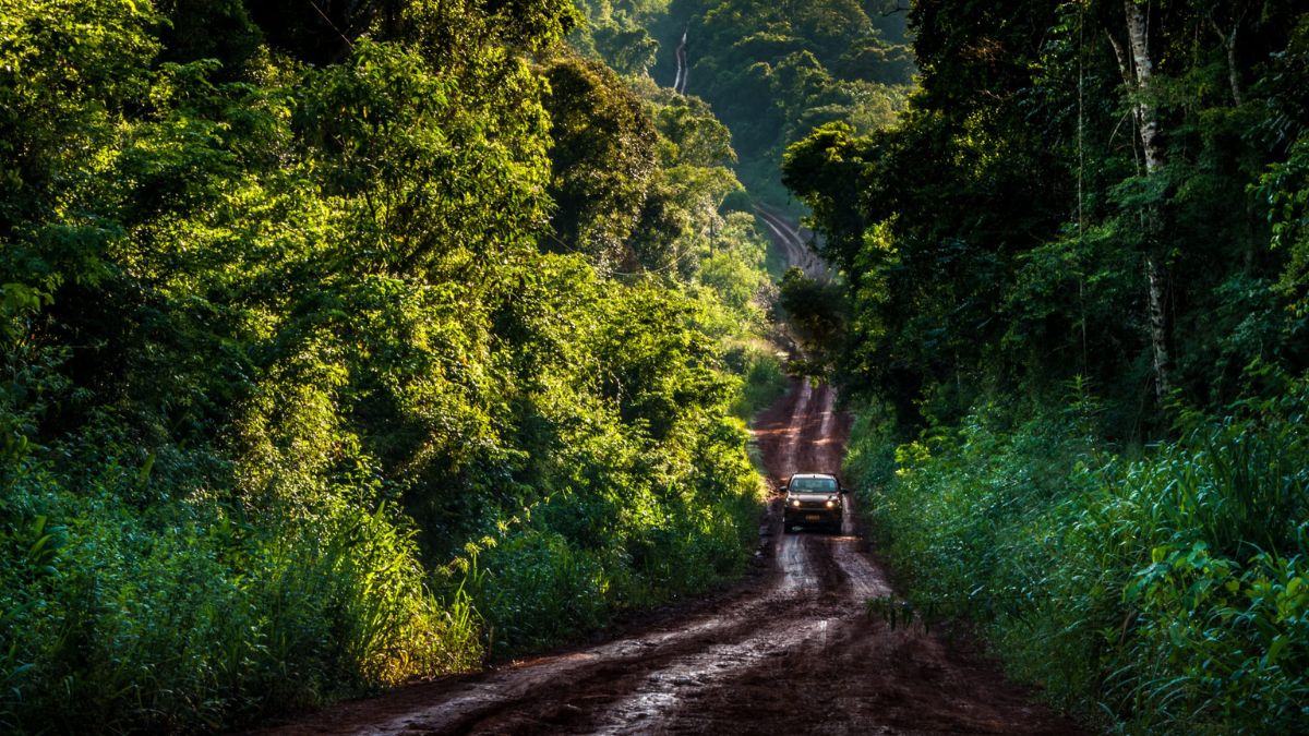 A four-wheel drive vehicle navigates a muddy, winding track surrounded by lush green foliage and dense trees. The sunlight filters through the canopy, highlighting the rich colours of the landscape.