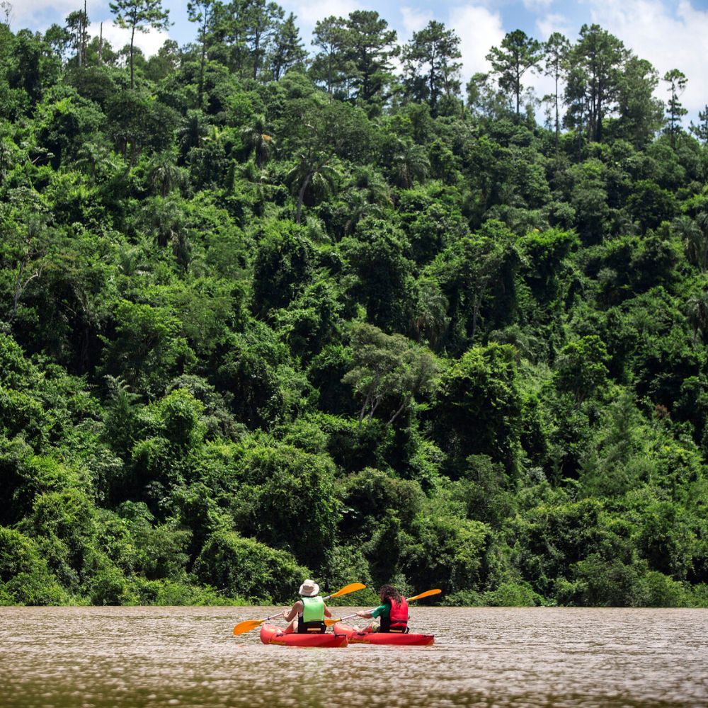 Two kayakers in red kayaks paddle along a river surrounded by dense green forest. Sunlight filters through the trees, casting dappled shadows on the water.