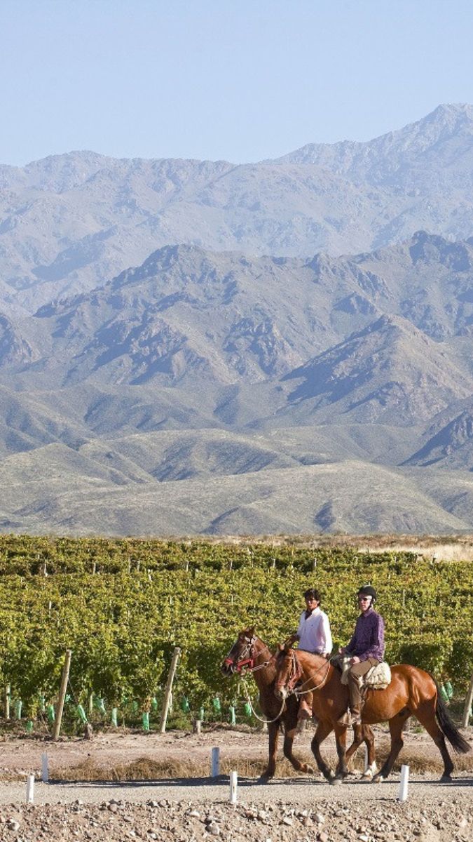 Two riders on horseback stroll through a vineyard, surrounded by rolling hills and mountains in the background under a clear blue sky.