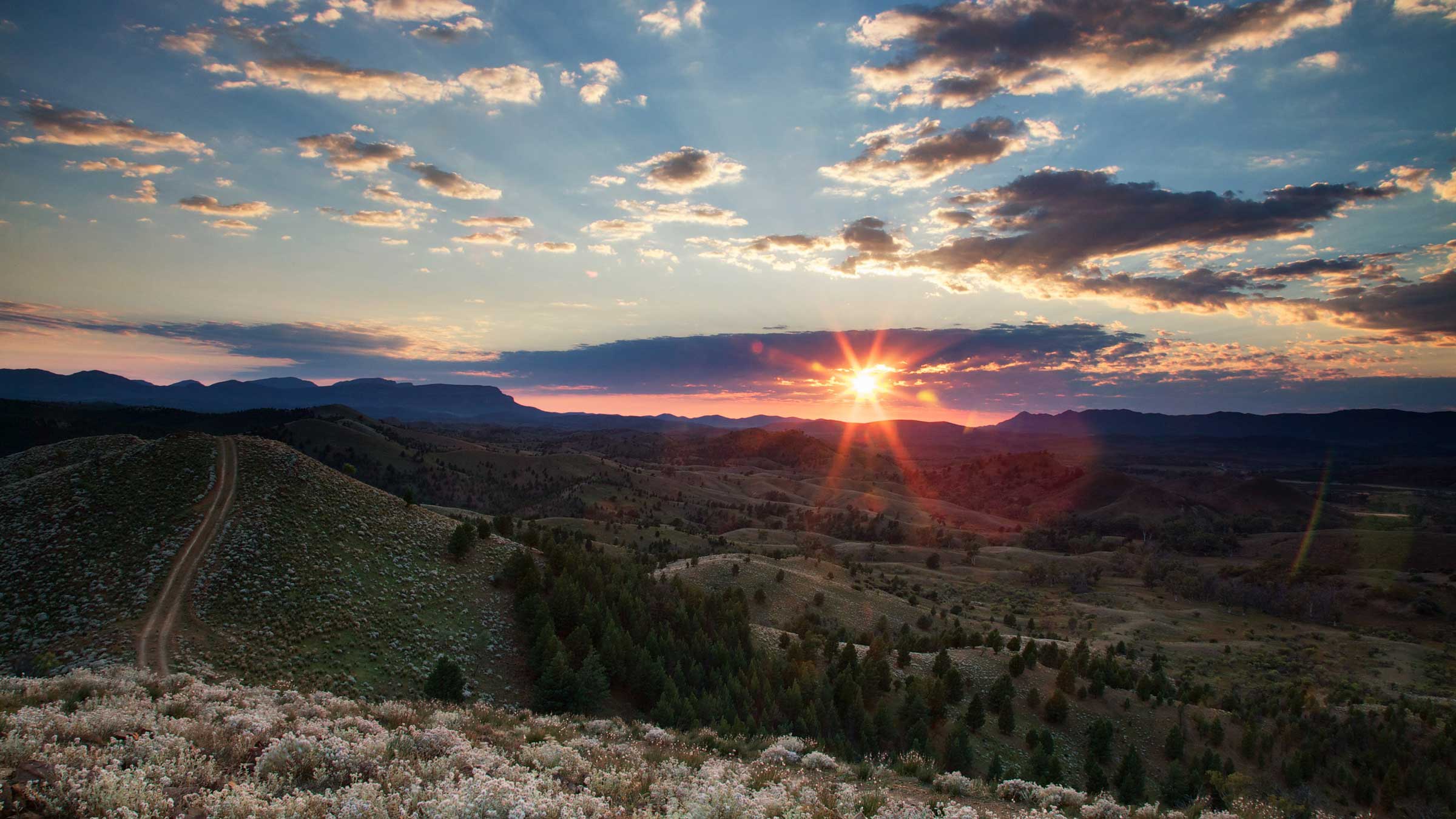 A stunning sunset casts golden rays over rolling hills and valleys, with clouds scattered across a vibrant sky. The landscape features patches of green trees and blooming white flowers in the foreground.