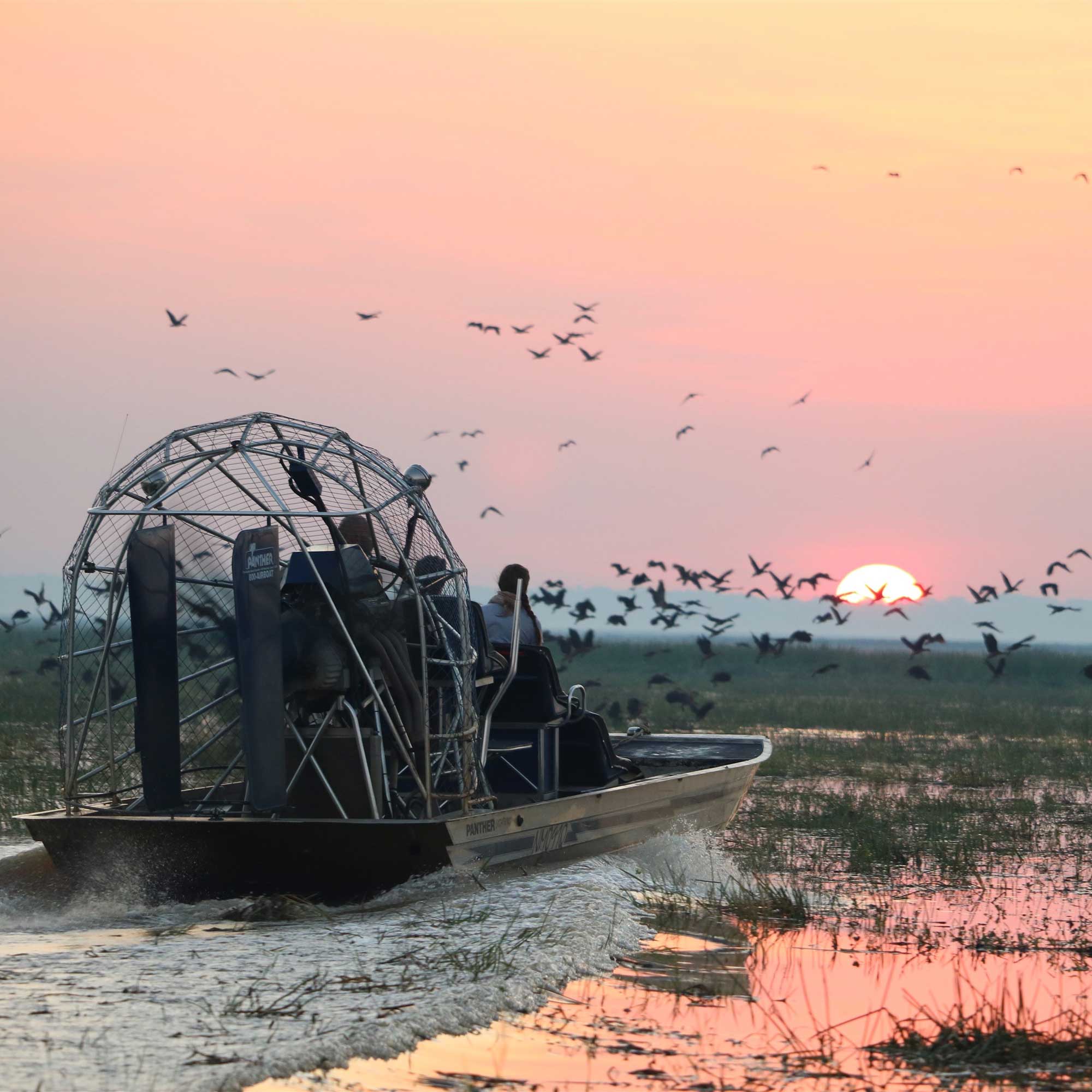 An airboat moves through a wetland at sunset, with a flock of birds flying in the background against a vibrant orange and pink sky.