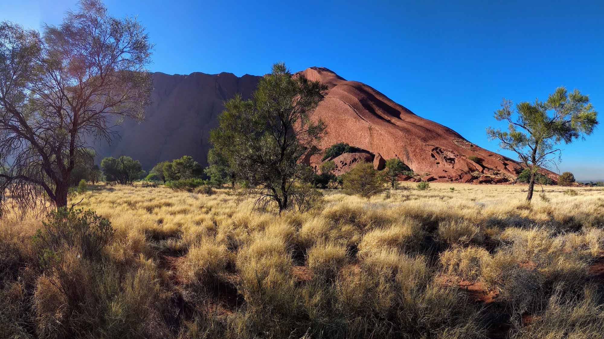 A vast grassy landscape with scattered trees in the foreground, leading up to a large reddish rock formation under a clear blue sky.