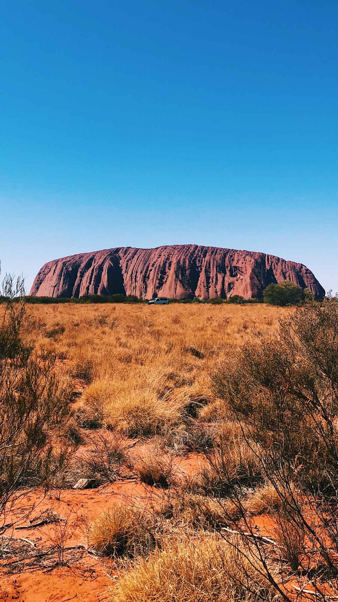 Uluru, a massive sandstone monolith, rises majestically above the golden grasslands under a clear blue sky. The landscape features sparse vegetation and reddish soil.