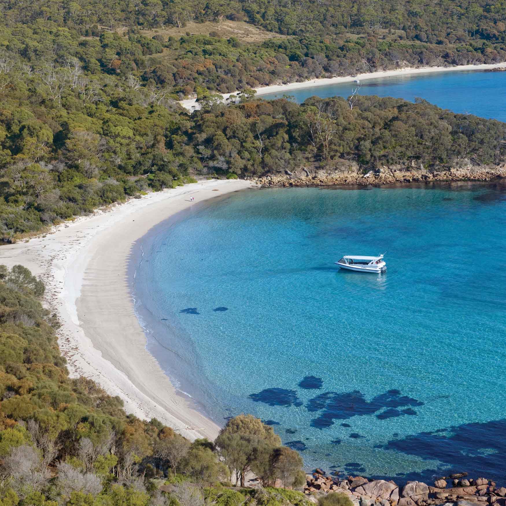 A serene coastline featuring a sandy beach with clear blue water, surrounded by lush greenery. A small white boat is anchored in the calm bay, with gentle waves lapping at the shore.