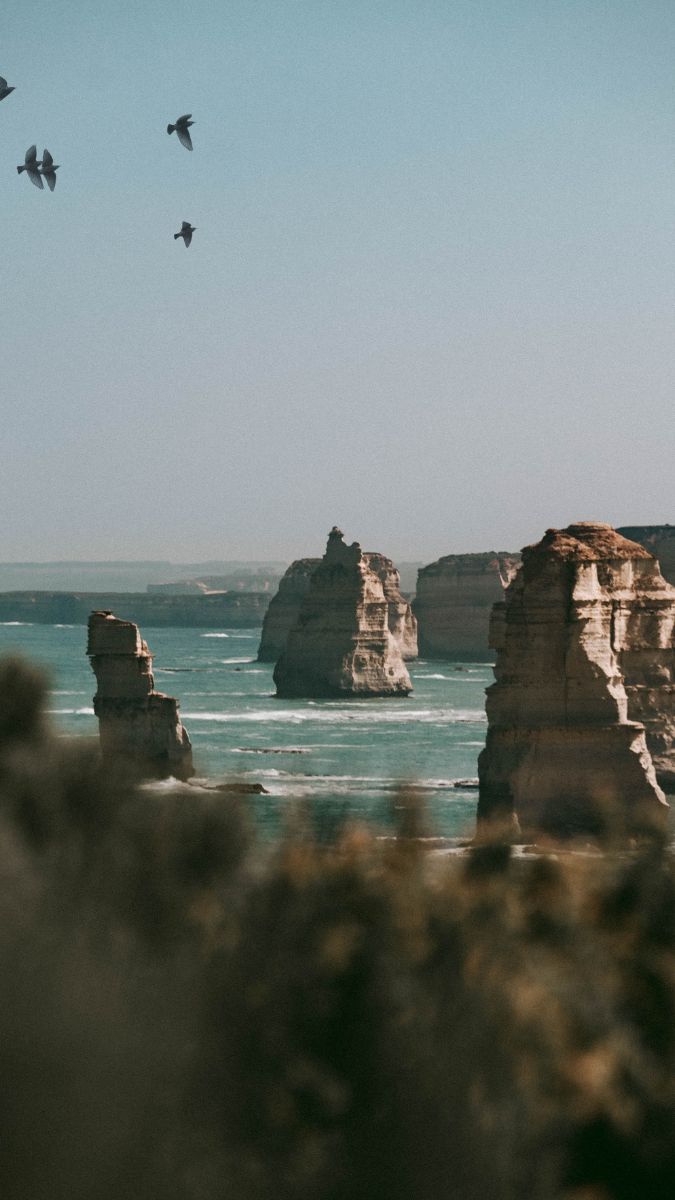 Birds soar over dramatic coastal rock formations, with waves crashing against the cliffs and a clear blue sky in the background.