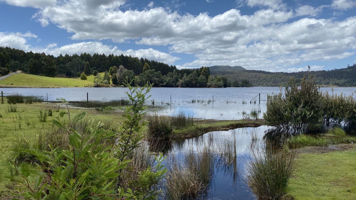 Lush green grass and plants border a tranquil lake reflecting a partly cloudy sky. Surrounding hills are visible in the background, creating a serene natural landscape.