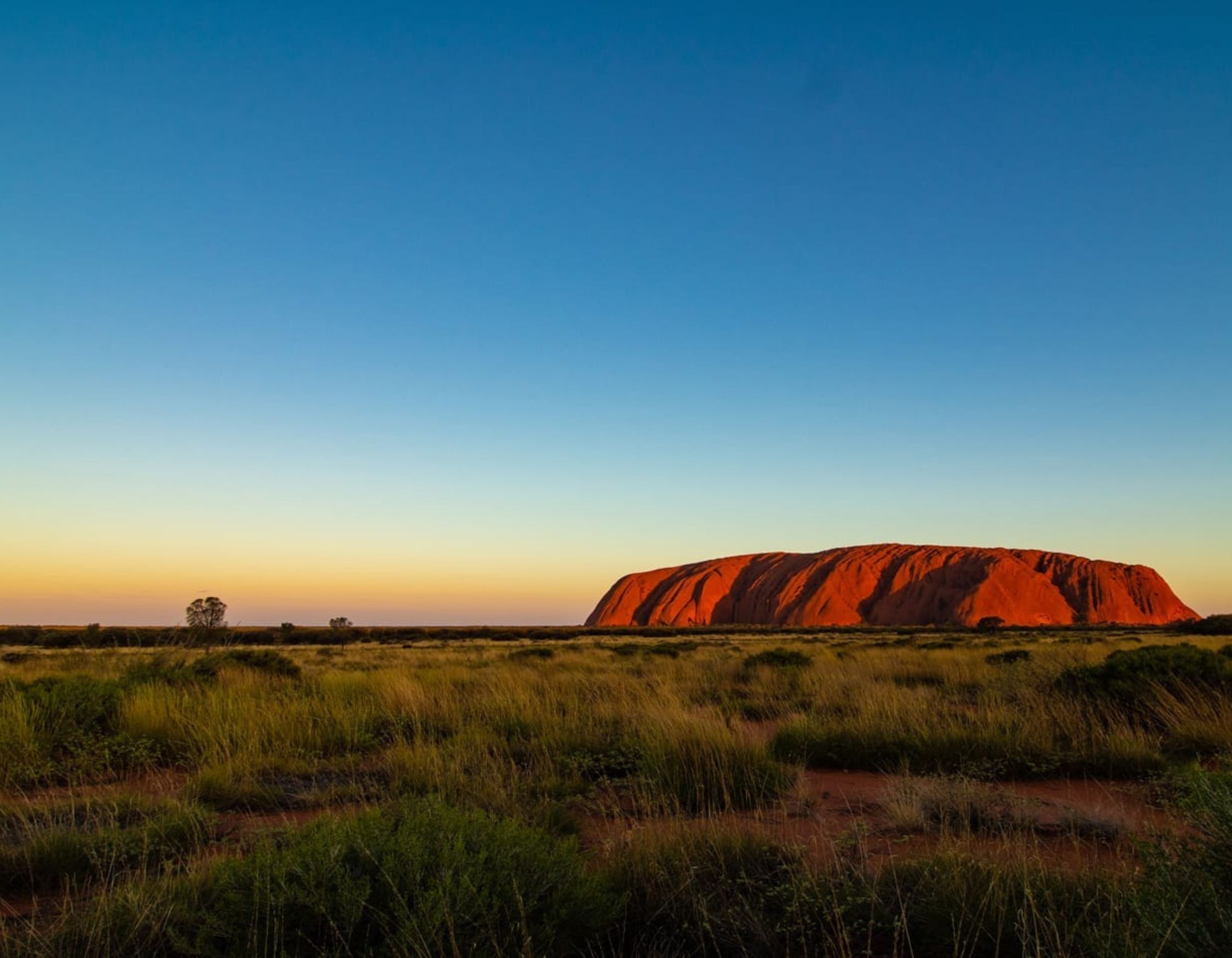 Uluru, a massive sandstone monolith, stands majestically against a clear blue sky at sunset, surrounded by lush green grasslands and sparse vegetation. The warm hues of the rock contrast beautifully with the gradient of the sky.