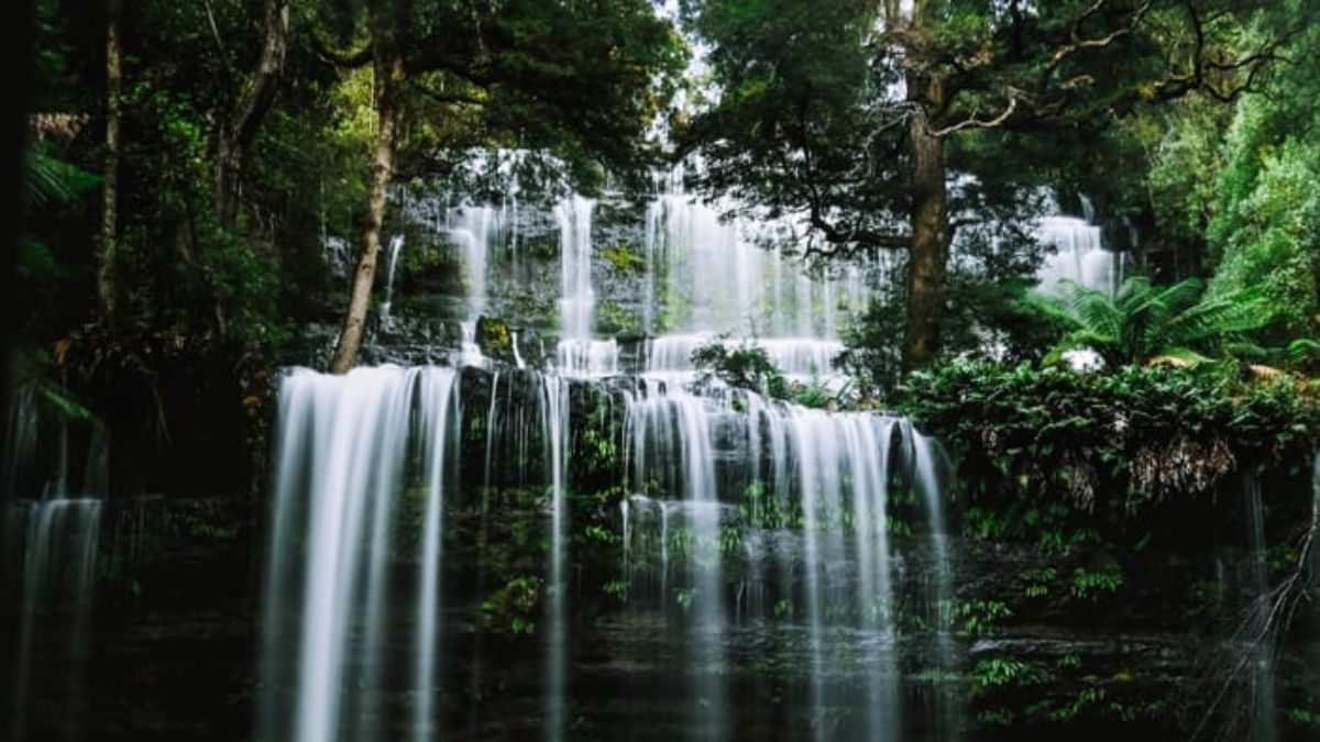 A serene waterfall cascading down a lush, green cliff, surrounded by dense foliage and tall trees. Mist rises from the flowing water, creating a tranquil atmosphere.