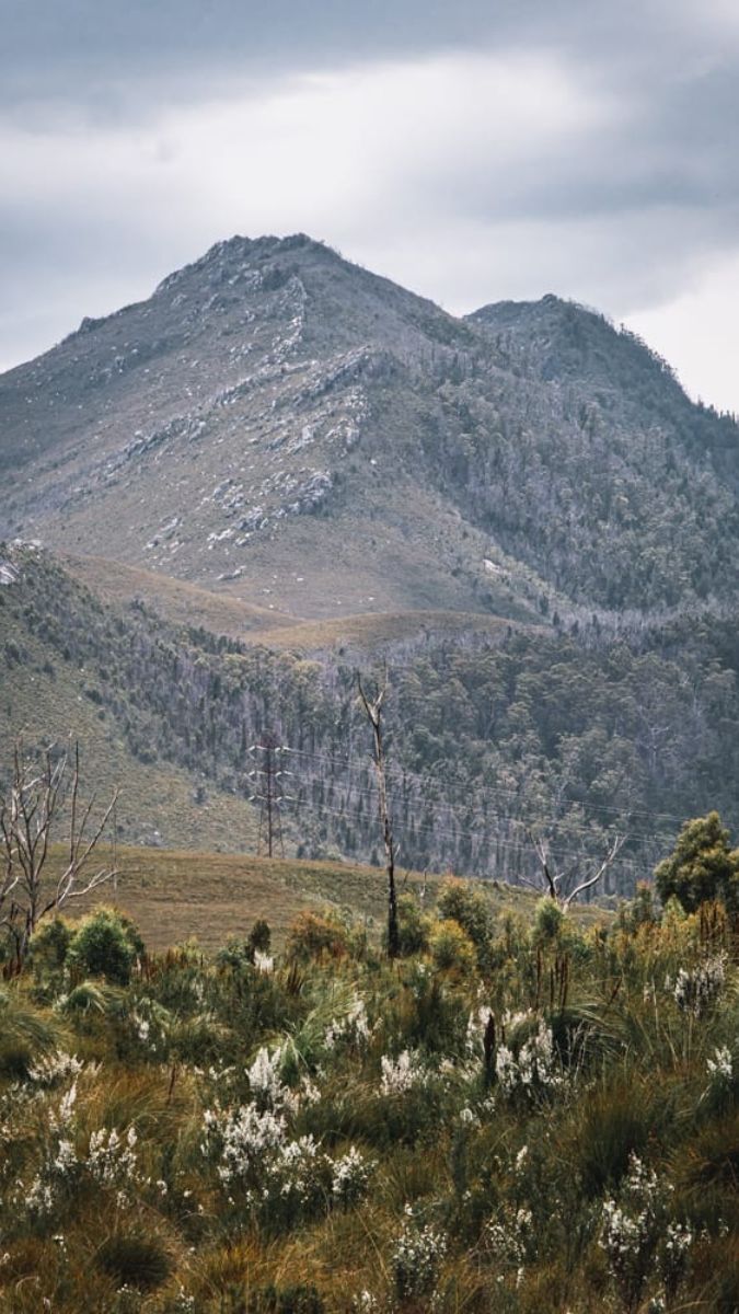 A rugged mountain landscape under a cloudy sky, featuring a mix of grassy hills and sparse vegetation. The foreground has patches of white flowers, while the mountains in the background are steep and rocky.