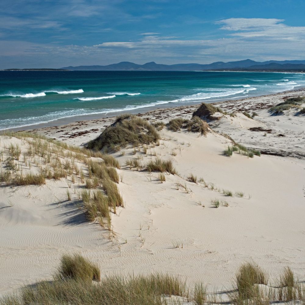 Sandy beach with gentle waves rolling onto the shore, framed by grassy dunes. In the background, distant mountains rise under a partly cloudy sky.