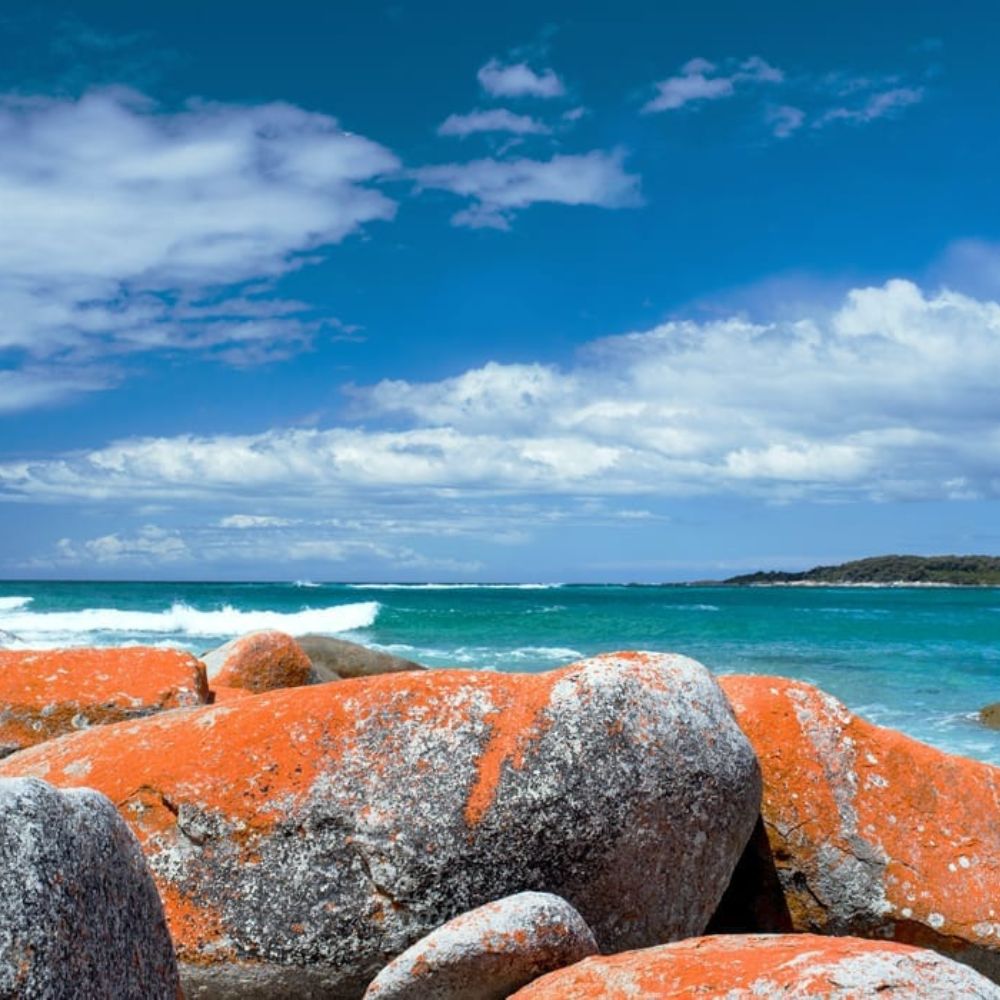 Vibrant coastal scene featuring large, moss-covered rocks on a beach, with gentle waves lapping at the shore and a bright blue sky dotted with fluffy white clouds.
