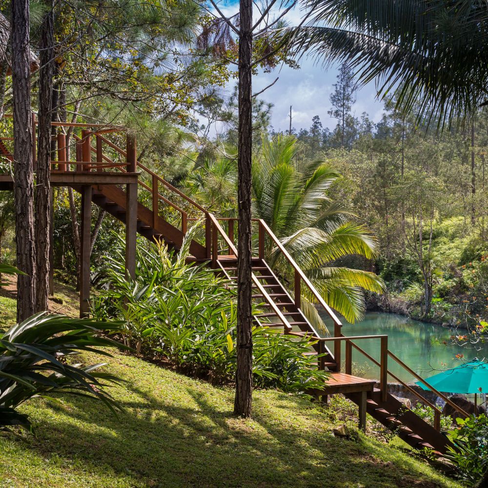 A wooden staircase surrounded by lush greenery and palm trees leads down to a serene pool of green water. Sunlight filters through the trees, creating a tranquil atmosphere.