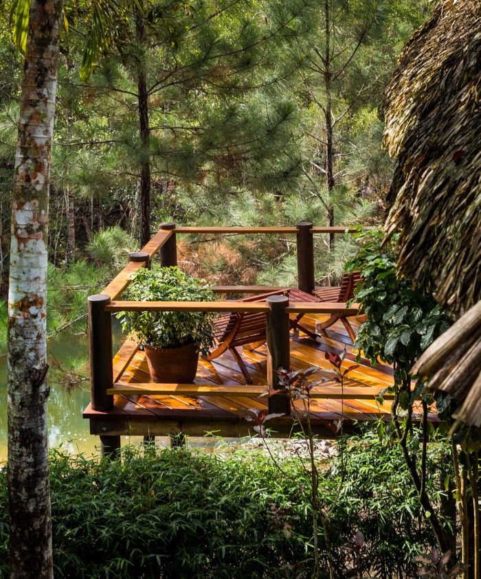 A wooden deck extending over a calm pond, surrounded by lush green trees and shrubs. Two lounge chairs and a potted plant are placed on the deck.