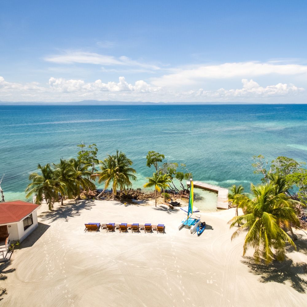 A serene beach scene featuring calm turquoise waters, palm trees, and a sandy area with lounge chairs arranged. Bright blue skies with a few clouds complete the tropical landscape.