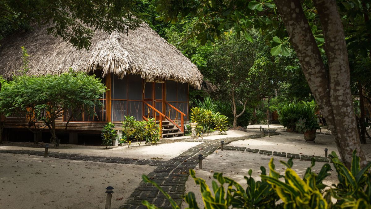 A charming thatched-roof cottage nestled among lush greenery and tropical plants, surrounded by sandy paths and trees.