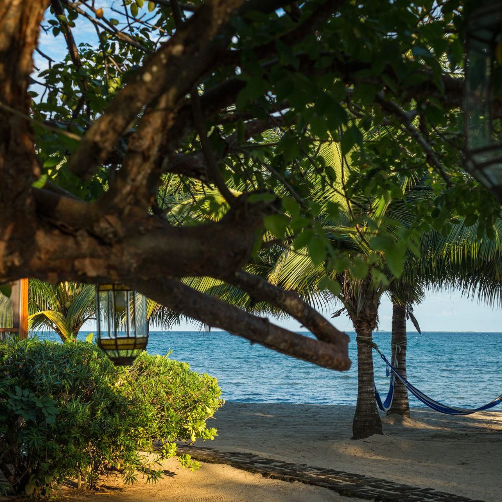 A view of a sandy beach framed by lush green foliage and palm trees, with a serene ocean in the background. A hammock is visible hanging between two trees, and a lantern hangs from a branch nearby.