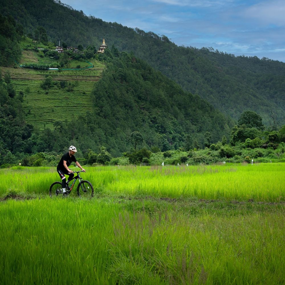 A cyclist rides through lush green rice fields, with rolling hills and a small temple visible in the background. The sky is partly cloudy, creating a serene landscape.