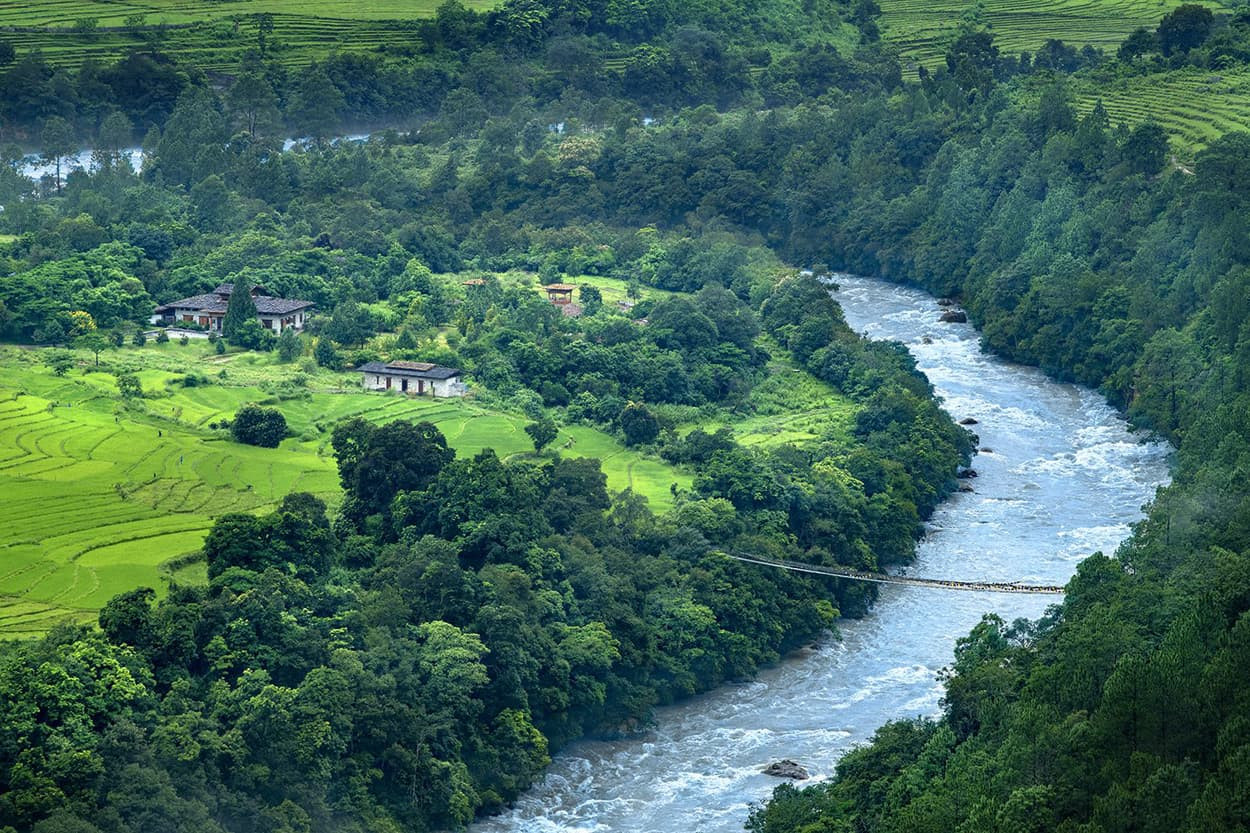 A lush, green landscape featuring rolling hills, rice terraces, and a river. A small wooden bridge crosses the river, connecting two banks. In the foreground, there's a cluster of houses surrounded by dense foliage, with mist hovering above the scene.
