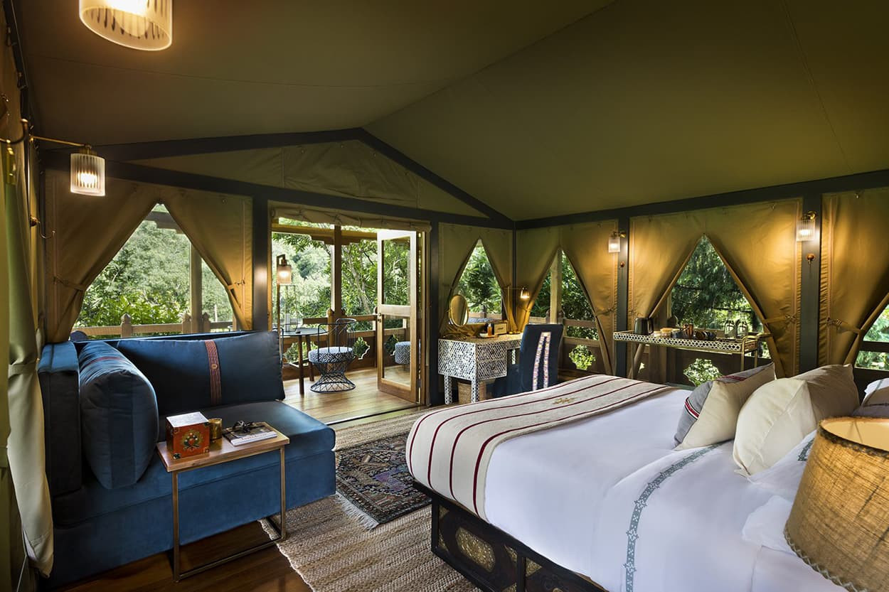 Luxurious glamping tent interior featuring a spacious bed, a cozy blue sofa, and elegant decor. Large windows offer views of a lush outdoor forest. Warm lighting creates a cozy ambiance.