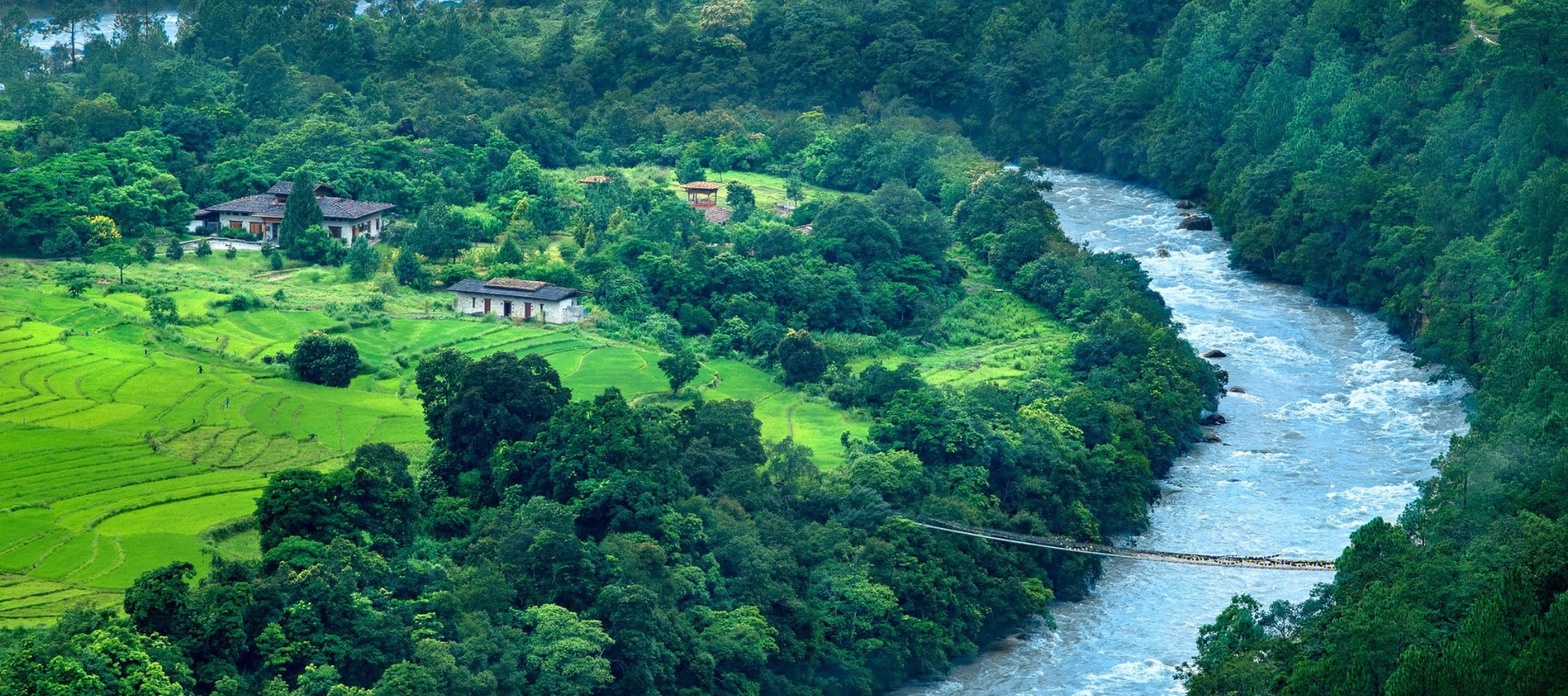 A lush green landscape featuring a river meandering through the scenery. Traditional buildings are situated near the water, surrounded by dense vegetation and rice fields, with a rope bridge crossing the river.