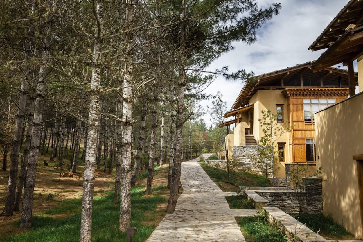 A stone pathway winds through a forest of tall trees, leading to a modern building with wooden accents. The scene is set under a partly cloudy sky.