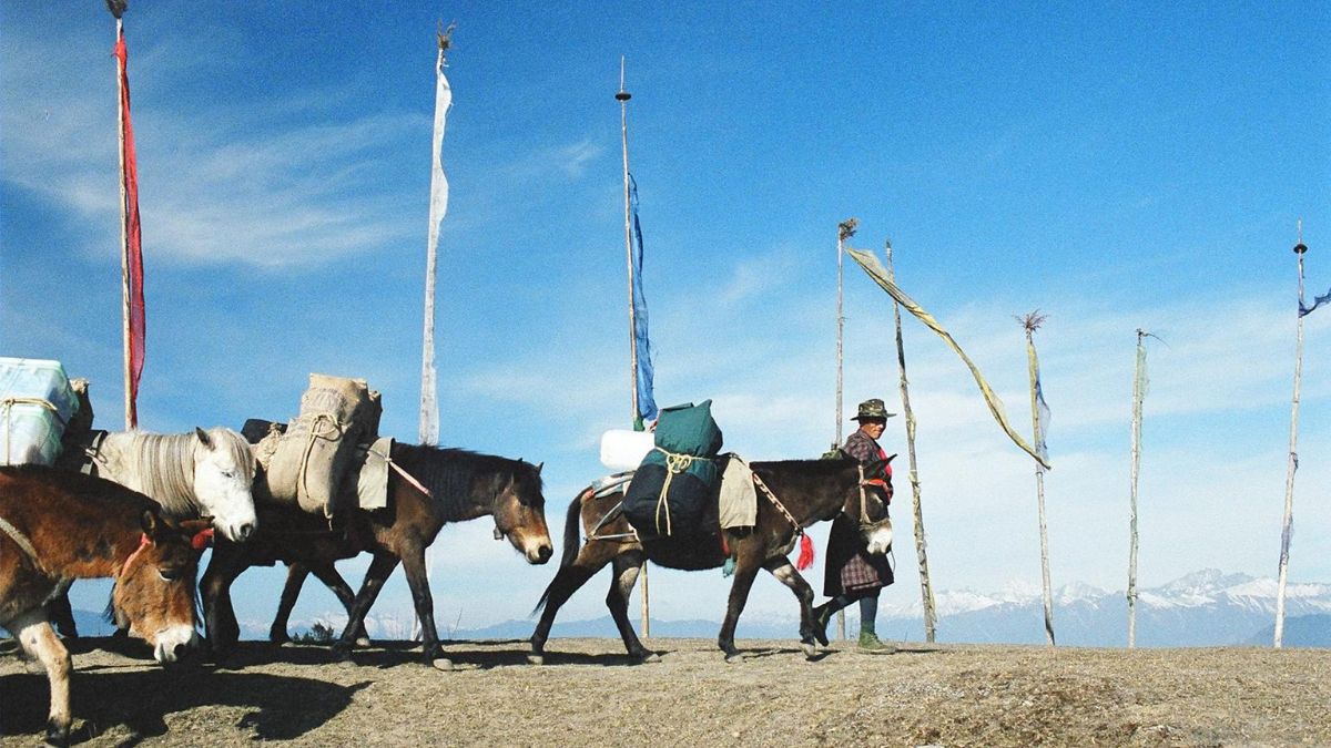 A person guides a line of pack horses carrying supplies along a mountain path, with colorful prayer flags fluttering in the background against a clear blue sky.