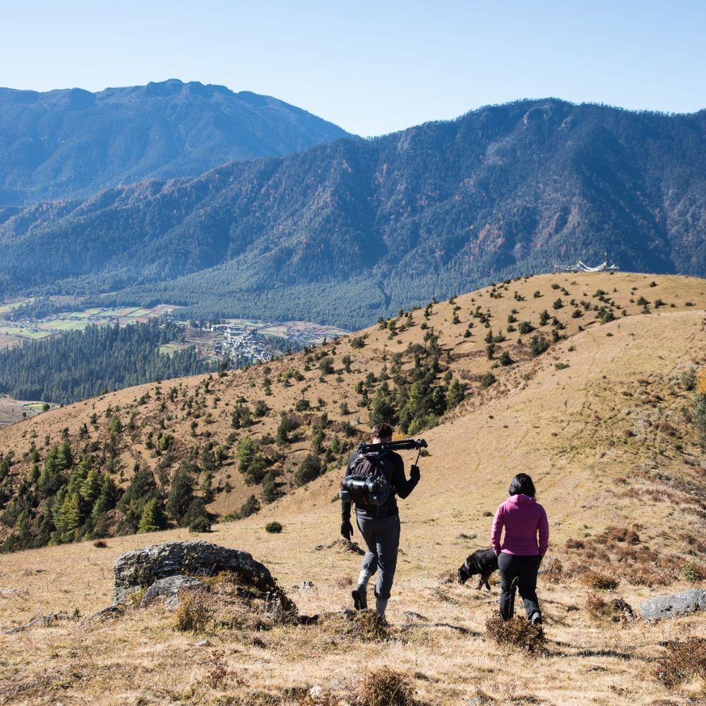 Two hikers ascend a grassy hillside, with mountains in the background. One hiker carries a camera, while a dog accompanies them. The vibrant landscape showcases a valley below, dotted with trees and small structures.