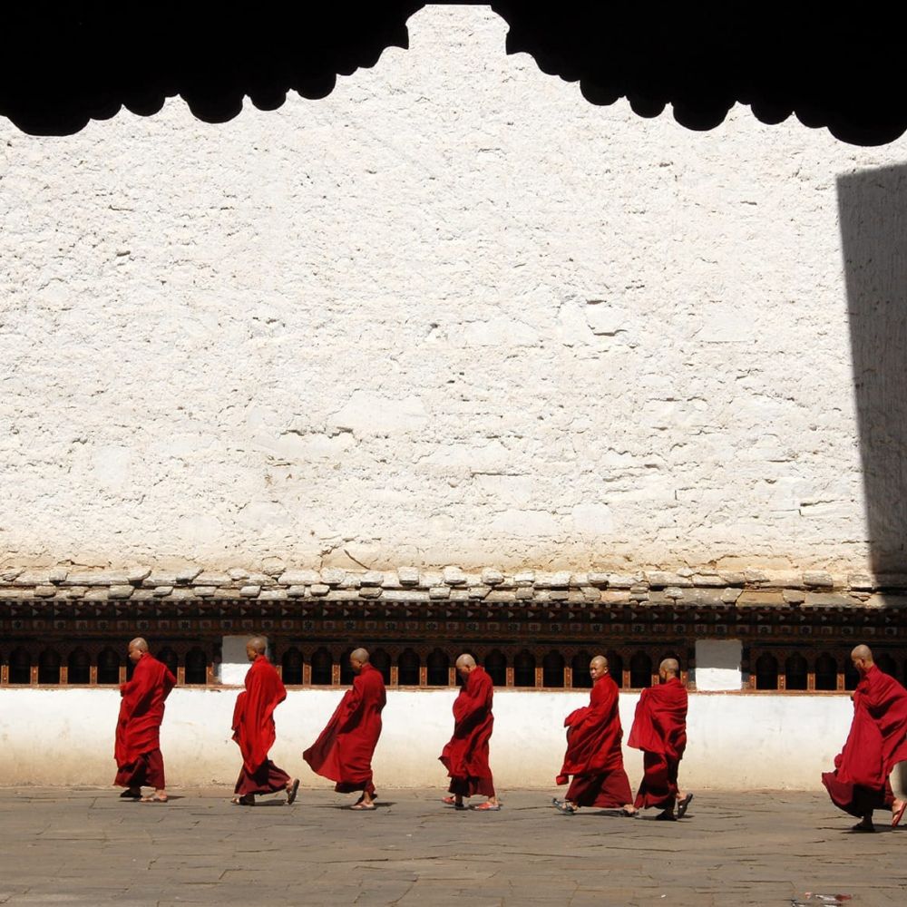 Monks in red robes walking in a line along a white stone wall, with shadows creating a contrast above.