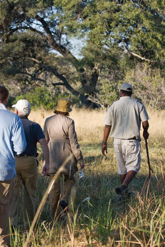 A group of five people walking through a grassy landscape, surrounded by trees. One person holds a walking stick, while another carries a water bottle. They are dressed in casual outdoor clothing, suitable for a safari.