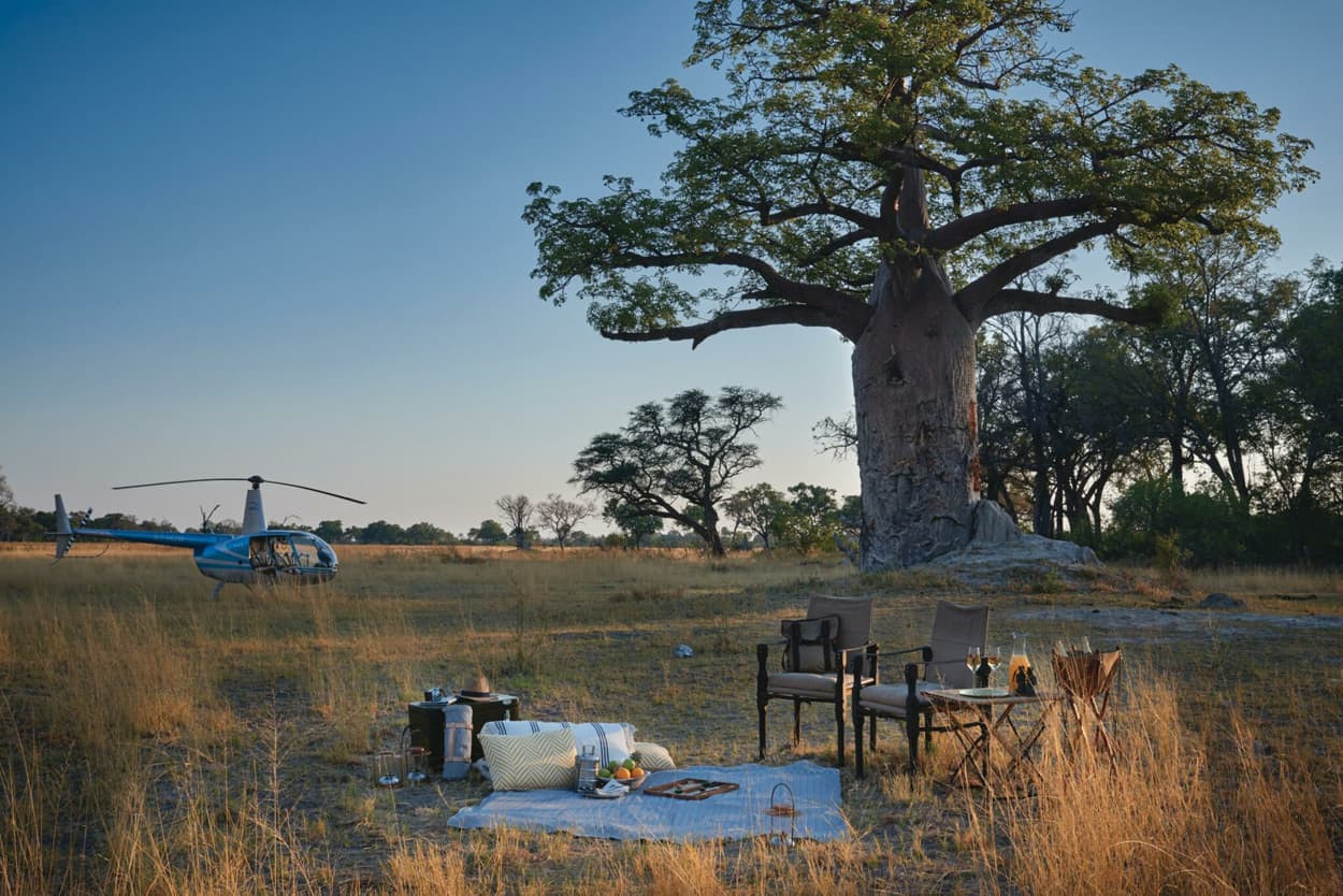 A picturesque scene featuring a luxurious picnic setup with chairs, a blanket, and a variety of drinks and snacks, set in a grassy landscape near a large baobab tree. A helicopter is parked nearby, suggesting an adventure in a wild setting.