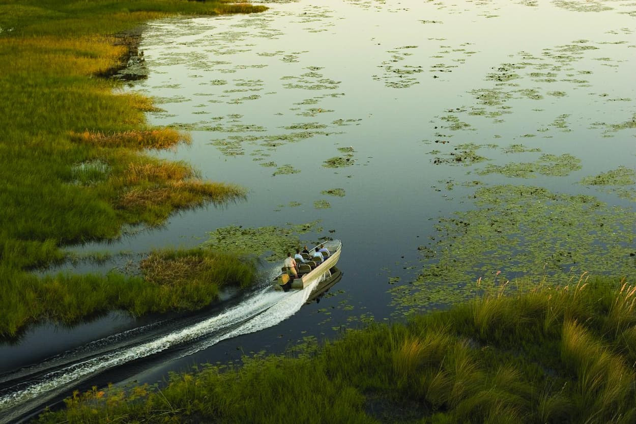 A small boat navigates through a serene marsh landscape, surrounded by lush green grass and water lilies, creating ripples in the calm water.