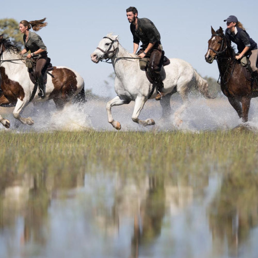 Three riders on horseback gallop through shallow water, creating splashes. The first horse is brown with white markings, the second is a gray horse, and the last is a dark brown horse. The riders wear casual clothing and appear focused. The scene reflects in the water, highlighting the dynamic movement.