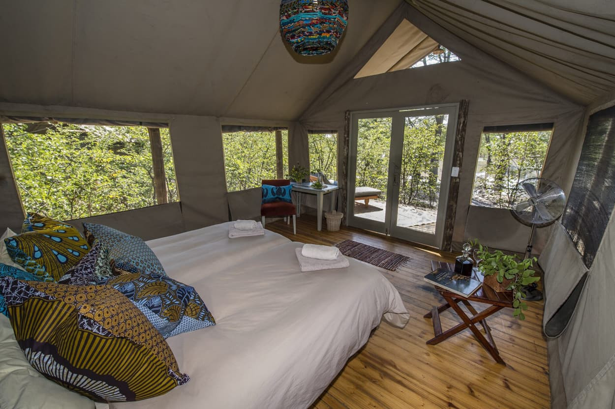 A cozy tent interior featuring a large bed with colorful patterned pillows, wooden flooring, and large windows overlooking greenery. There’s a small table and chairs, a fan, and a decorative hanging light fixture.