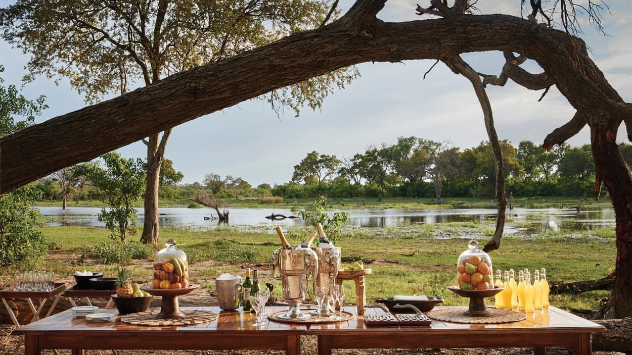 A beautifully set outdoor table with elegant glass dishes containing fruits and drinks, surrounded by lush greenery and a serene water view. A large tree branch arches over the scene, enhancing the tranquil atmosphere.