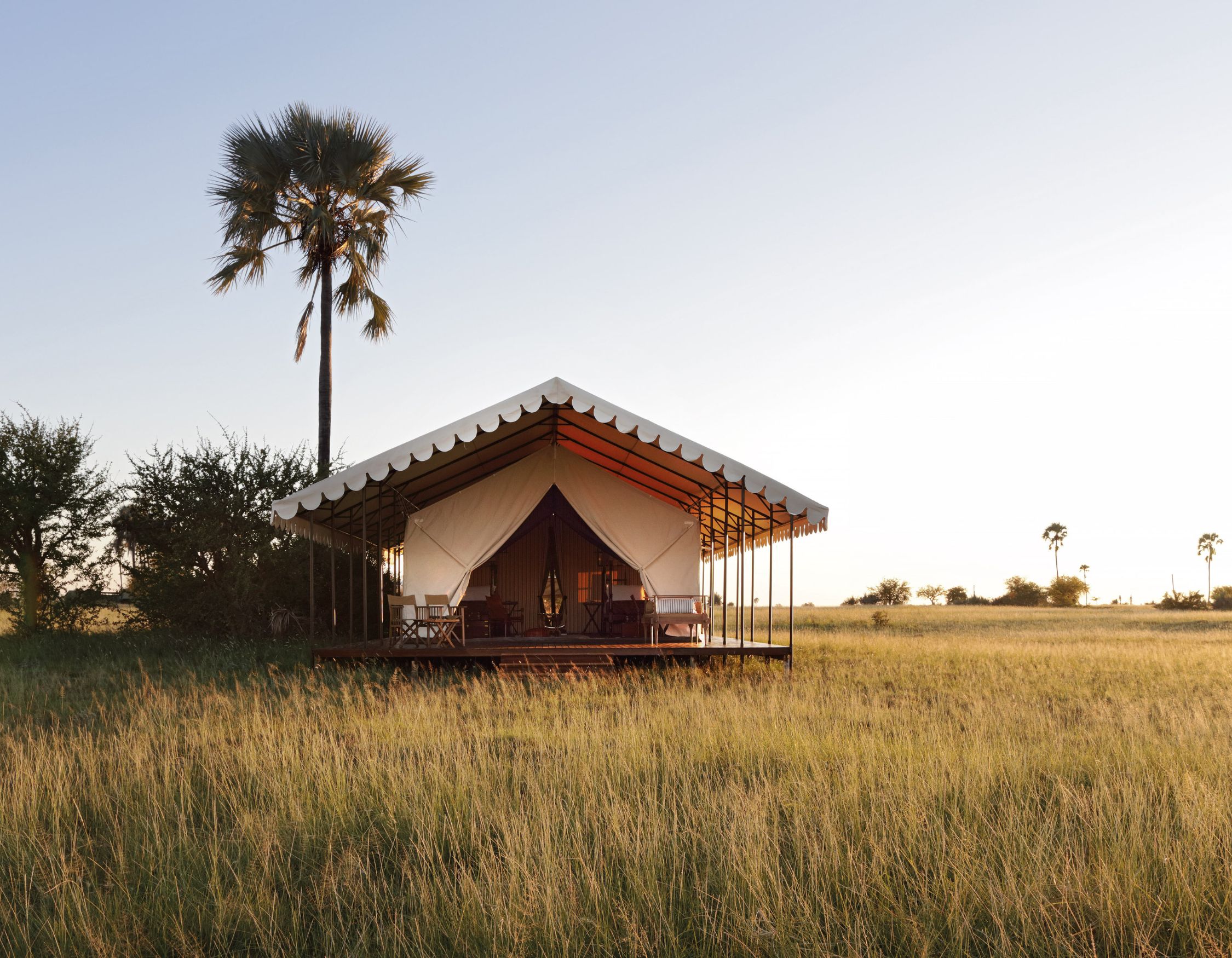 A luxury safari tent sits on a wooden deck in a grassy field, surrounded by tall golden grass and a few palm trees under a clear sky.