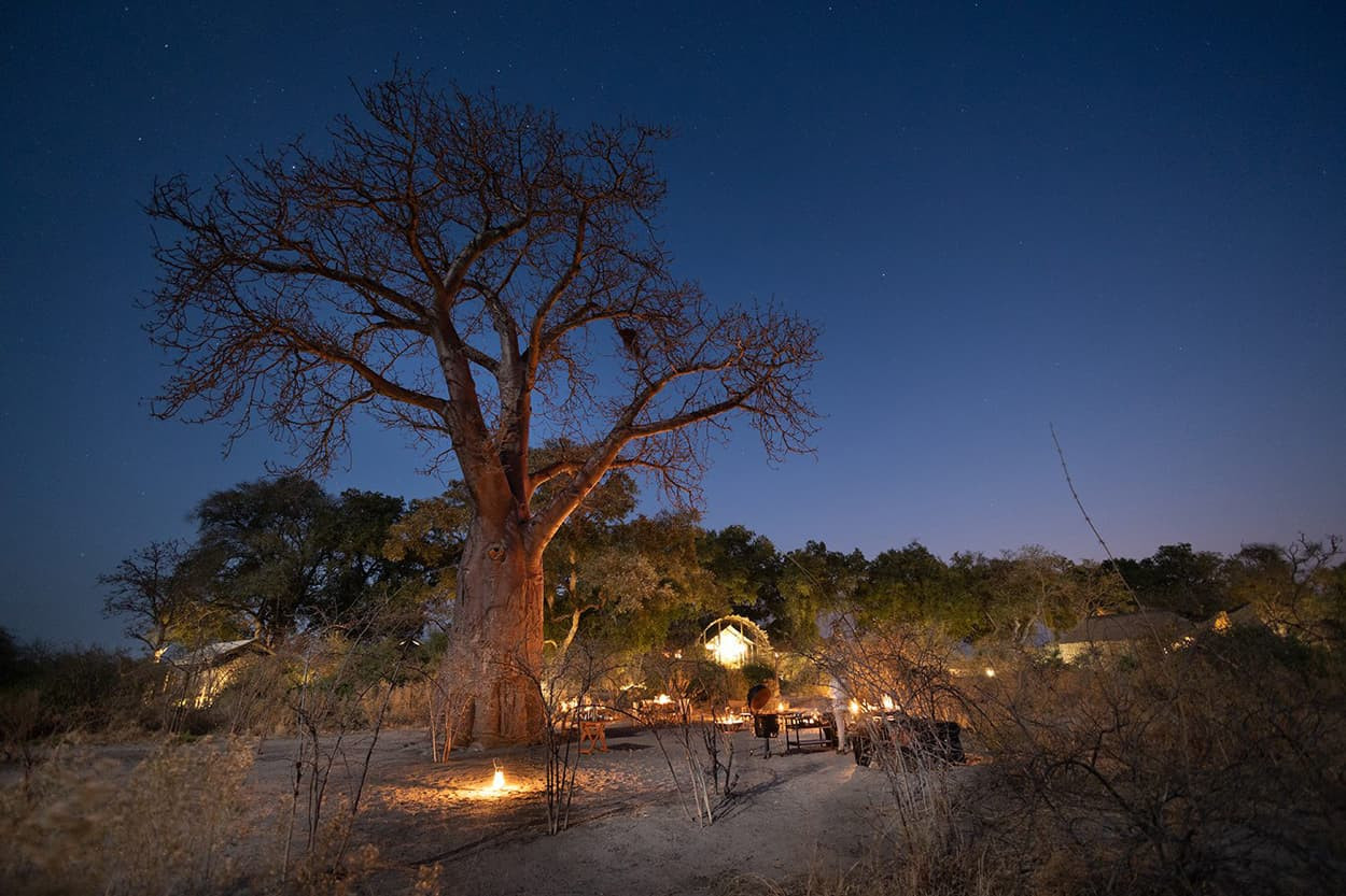 A large baobab tree stands against a twilight sky, surrounded by softly glowing campfires. In the background, hints of a rustic campsite can be seen among sparse vegetation. Stars twinkle above in a clear evening sky.