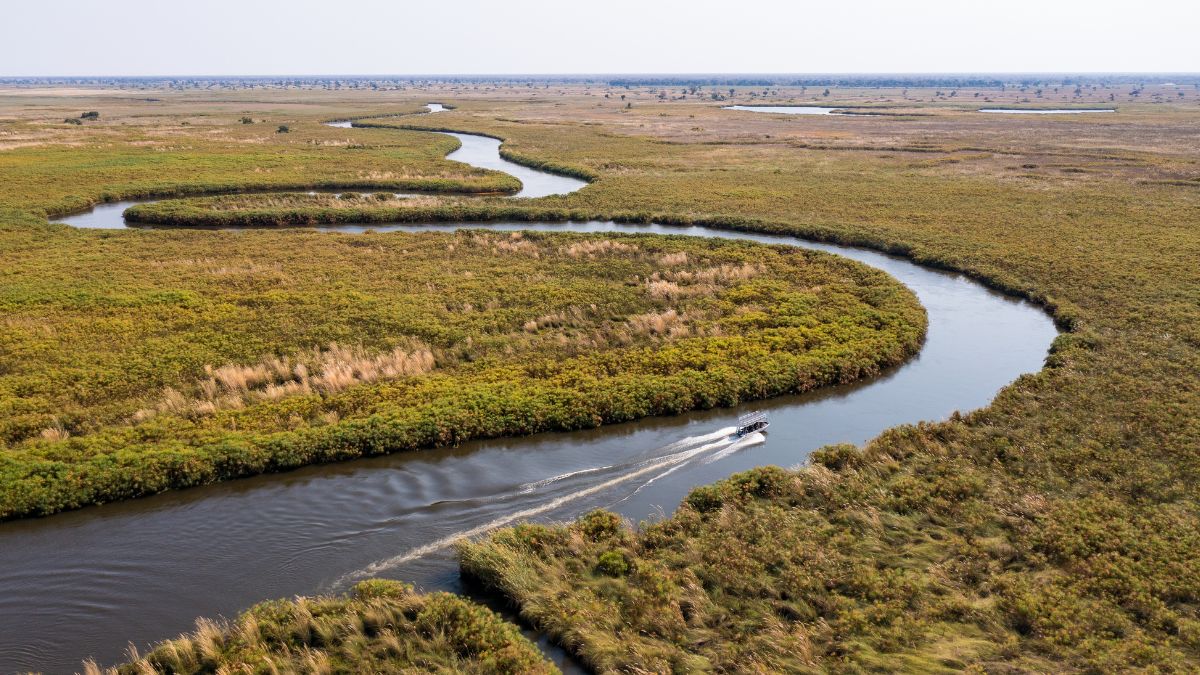A winding river flows through lush green wetlands, with patches of vegetation along the banks and open marshland stretching into the distance. A small boat navigates the river's curves.