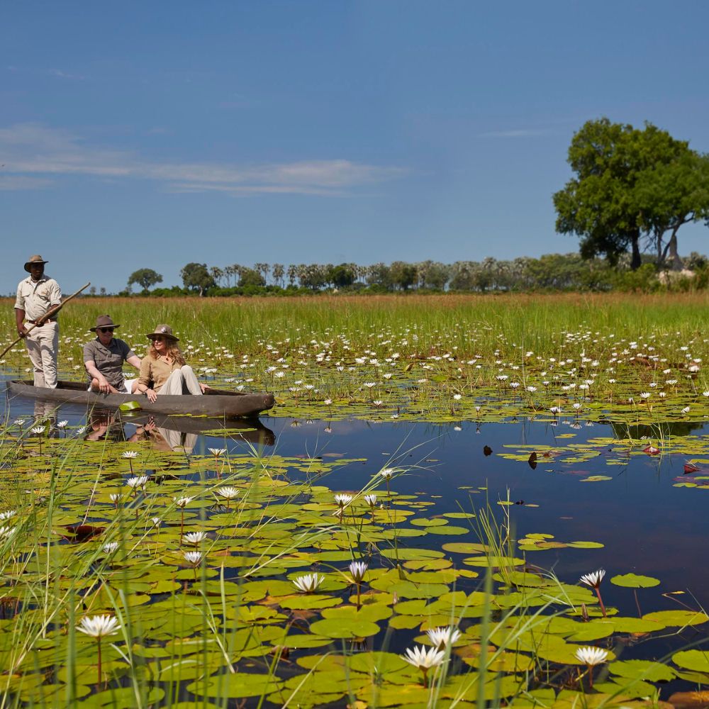 A small boat navigates through a tranquil waterway filled with lily pads and blooming water lilies, surrounded by lush greenery and trees under a clear blue sky. Three people, including a guide, are enjoying the serene landscape.