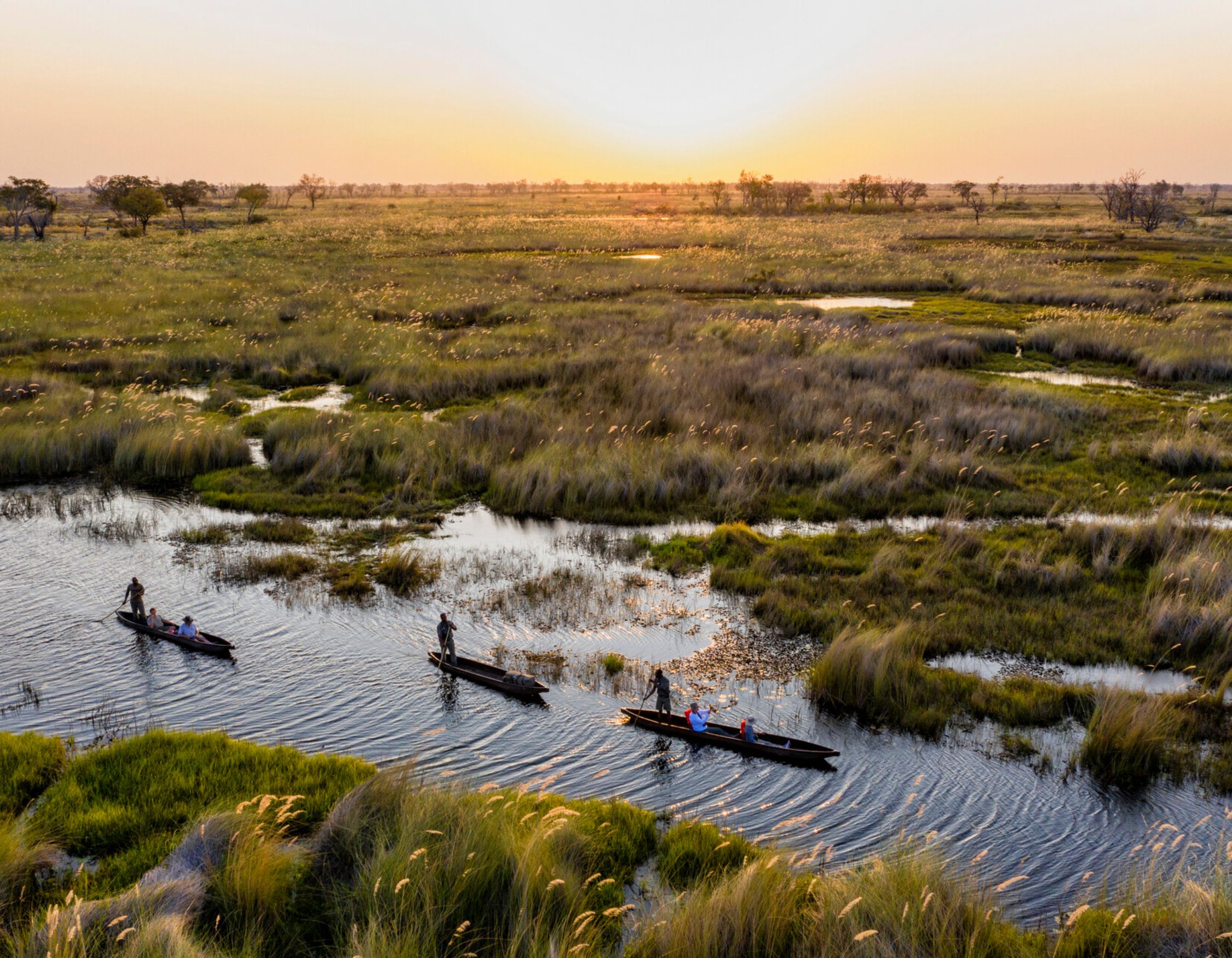 The mokoro's floating down the delta on a Botswana luxury safari